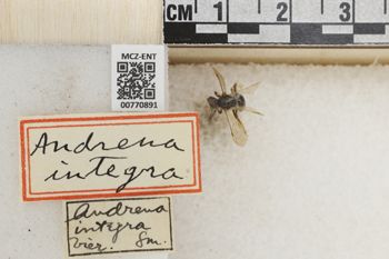 Media type: image;   Entomology 770891 Aspect: Labels